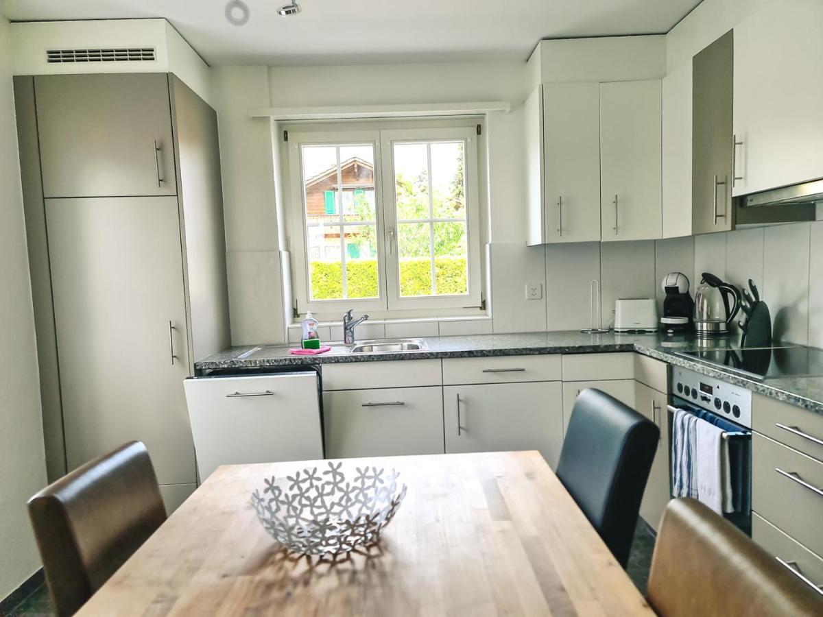 Kreuz Apartment - Aare Jungfrau Ag Wilderswil Kültér fotó